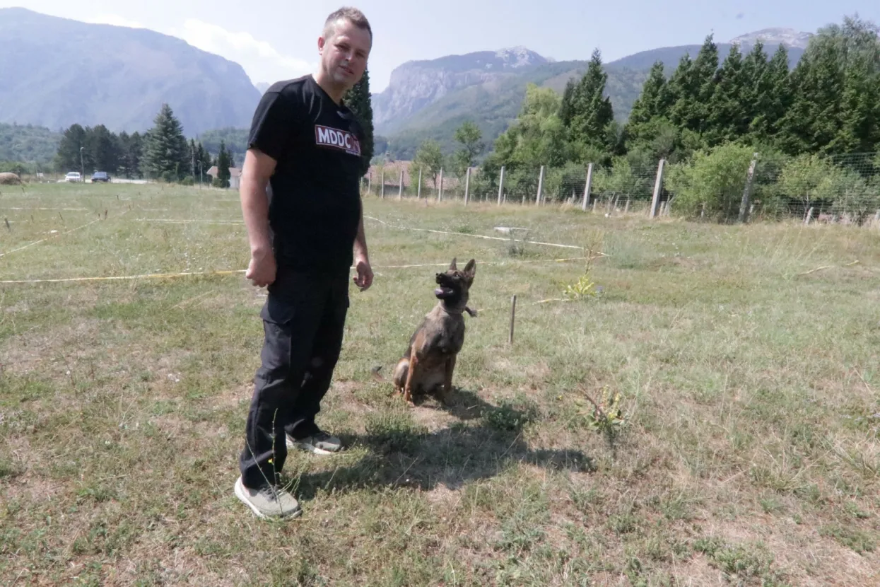 Jedan obučen pas može zamijeniti desetak deminera