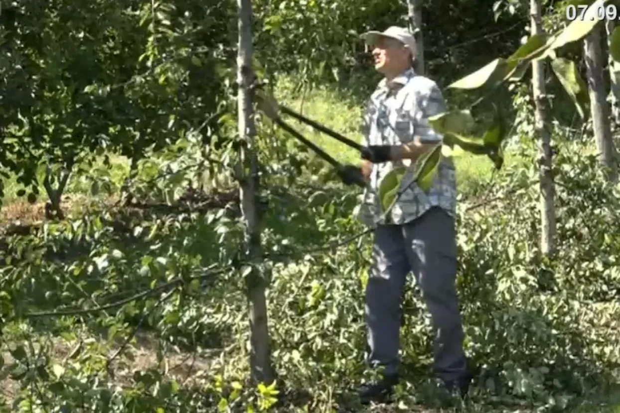 Uni&scaron;tio zasade