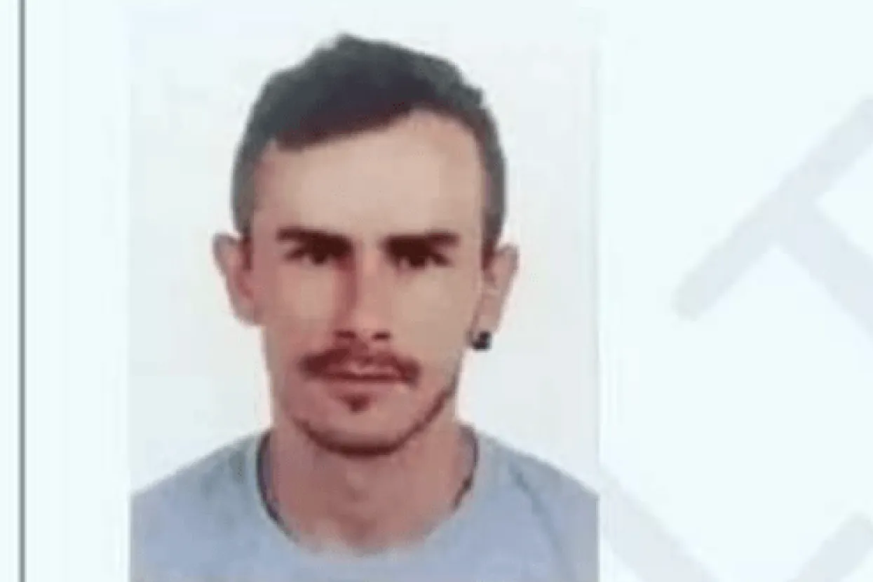 Nestao Perica Grgić