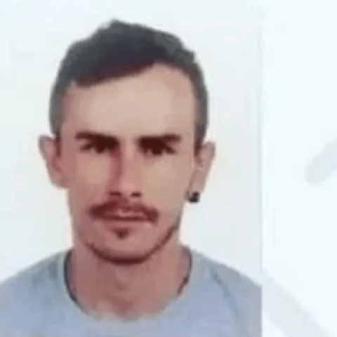 Nestao Perica Grgić