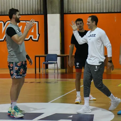 Nurkić, Bogdanović i Zubac