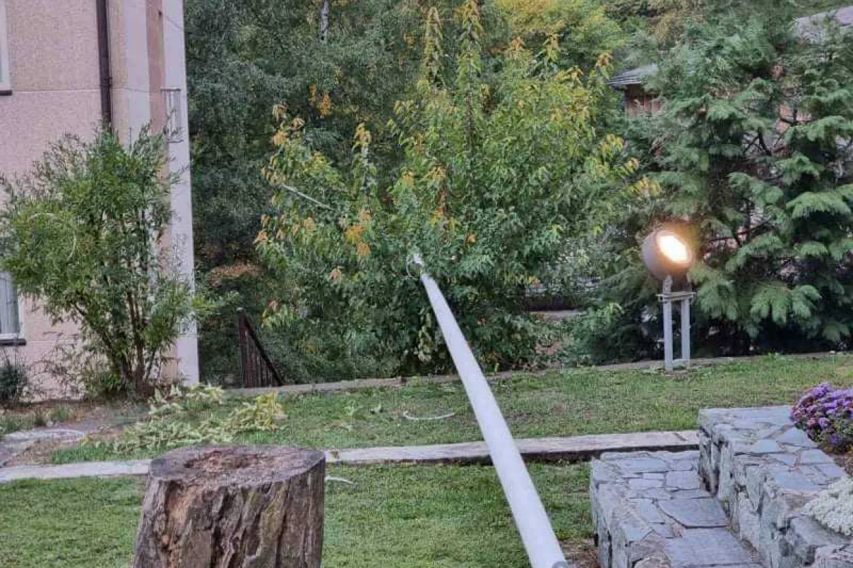 Sru&scaron;eni jarbol u dvori&scaron;tu crkve sv. Mihovila u Vare&scaron;u