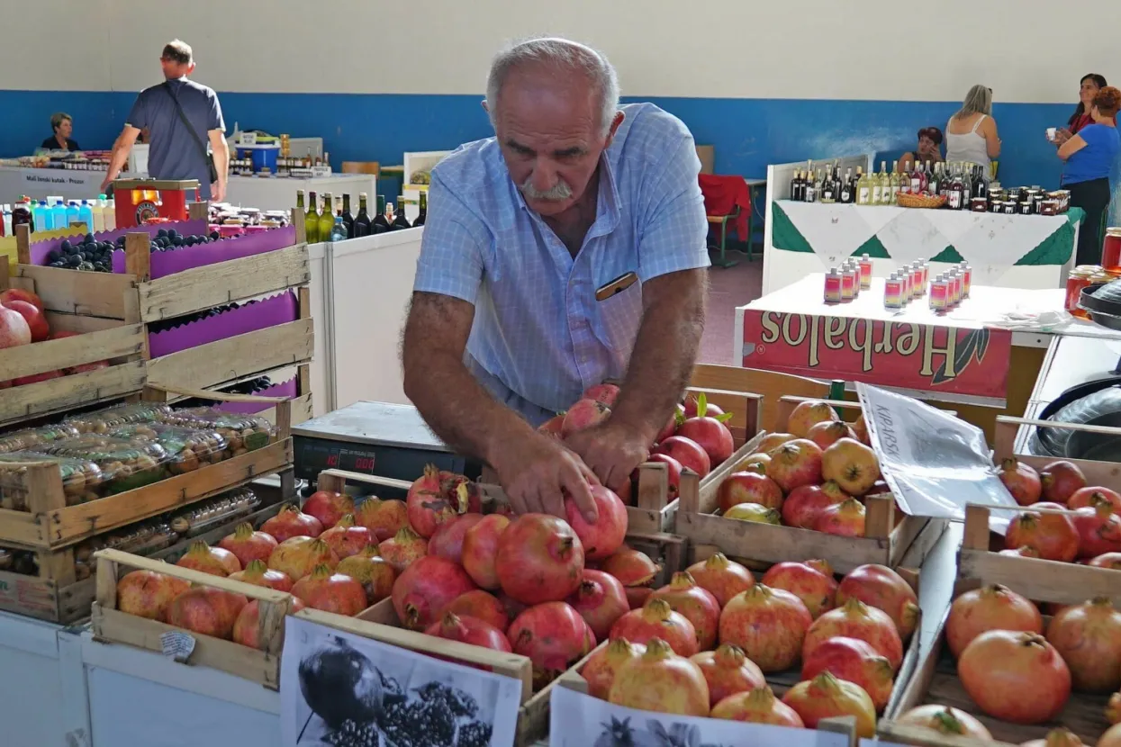 STOLAC, 1. listopada - Dvodnevna poljoprivredna sajamska manifestacija &quot;Hercegovački plodovi Mediterana&quot; otvorena je u petak u Stocu gdje su se okupili brojni domaći i poljoprivredni proizvođači iz Hrvatske i Crne Gore.