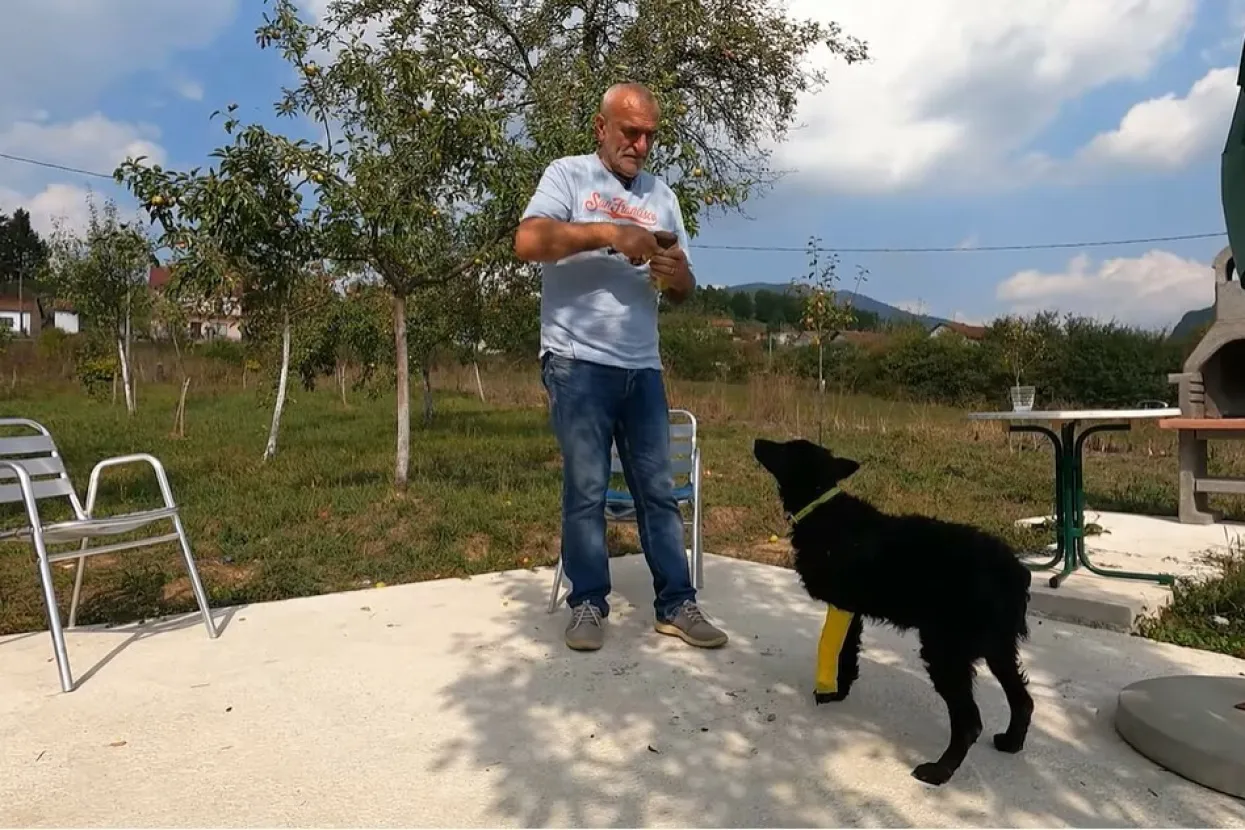 Ante i Floki jedan drugome spasili život