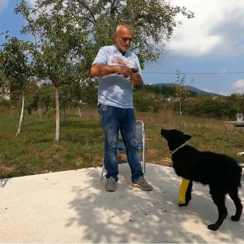 Ante i Floki jedan drugome spasili život