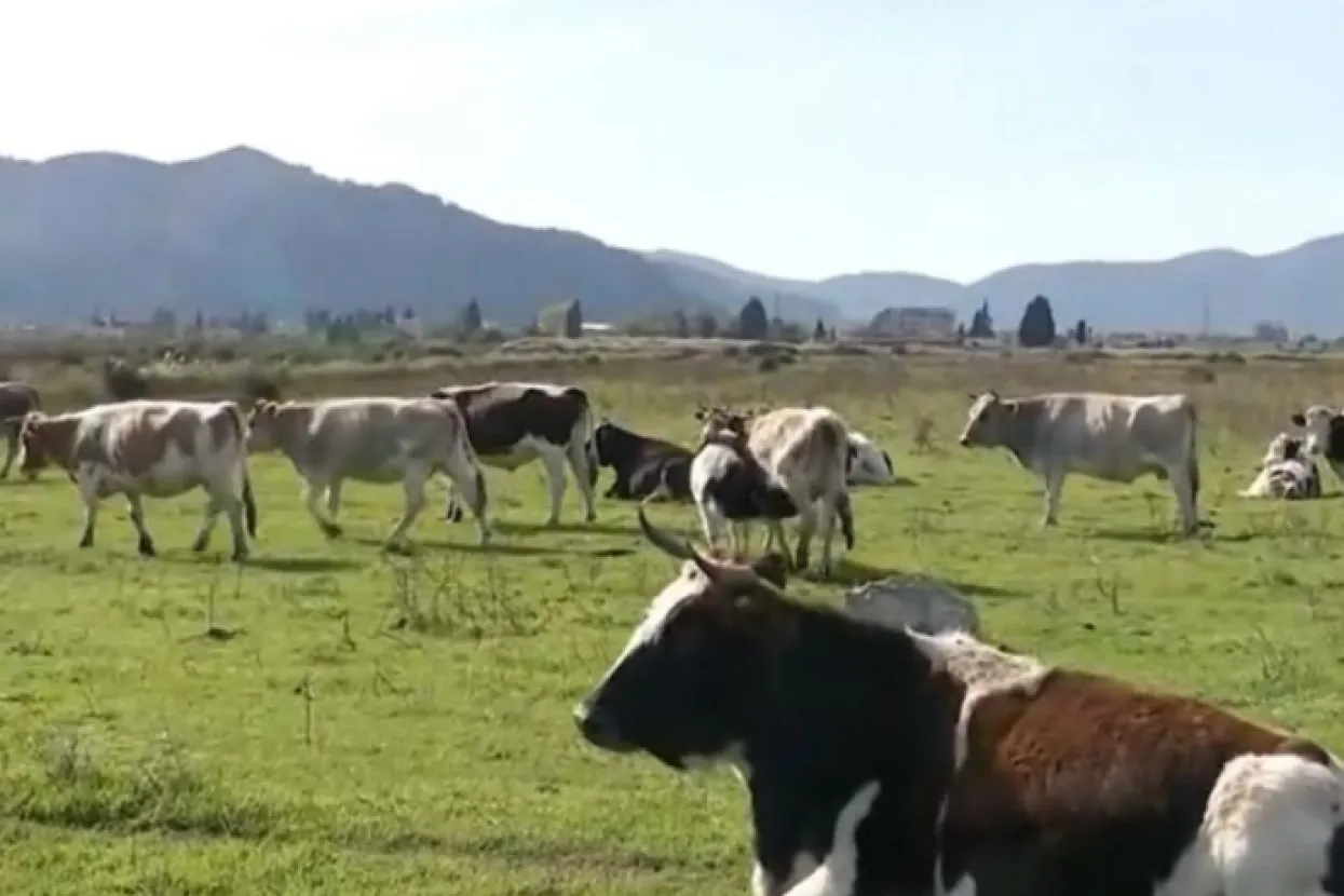 Kreće krvava akcija lovaca