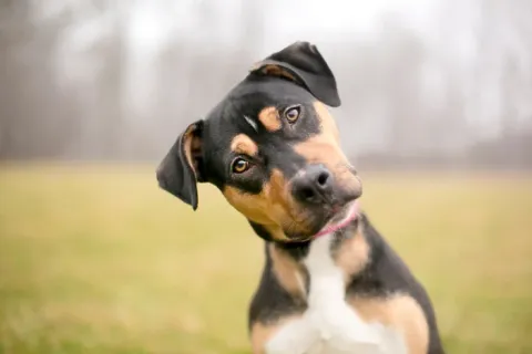 Ilustrativna fotografija