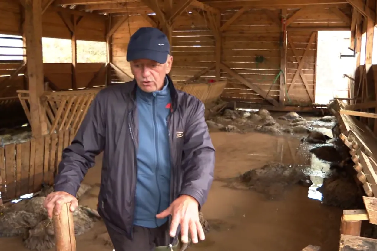 Poljoprivrednik zbog poplava ostao bez 130 ovaca