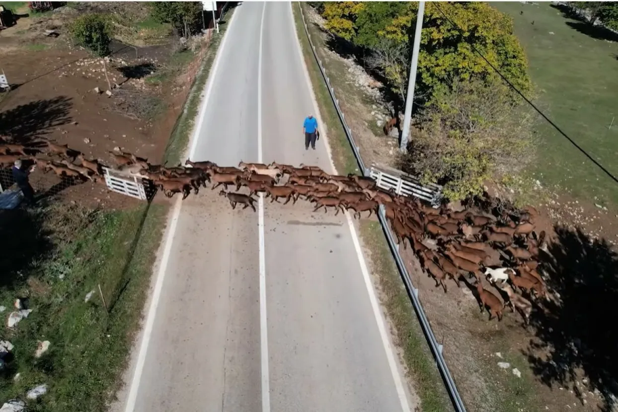 Supružnici sami brinu o 200 koza