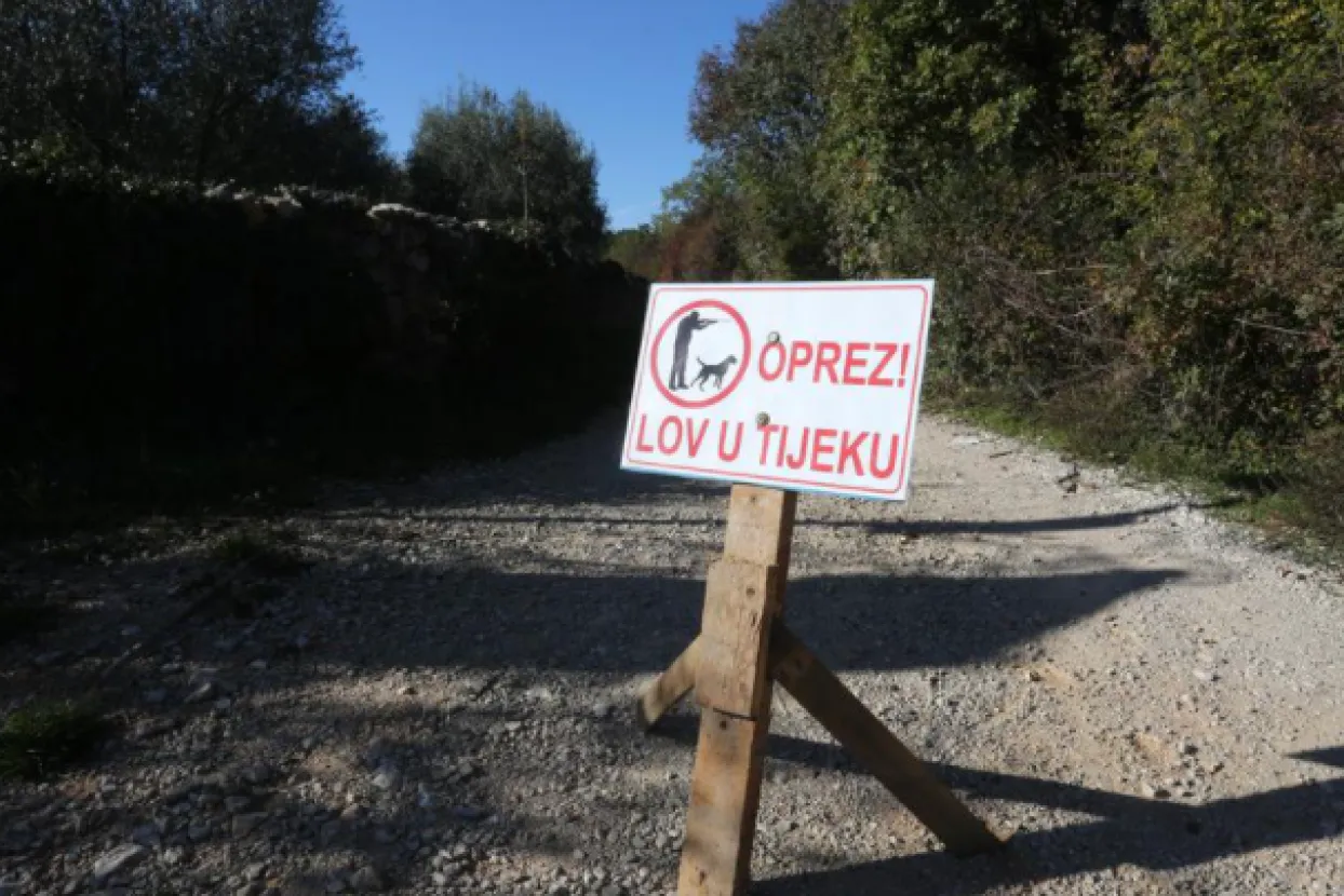 Ilustrativna fotografija