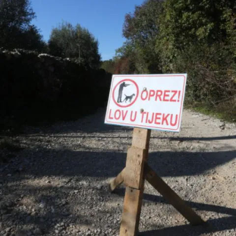 Ilustrativna fotografija