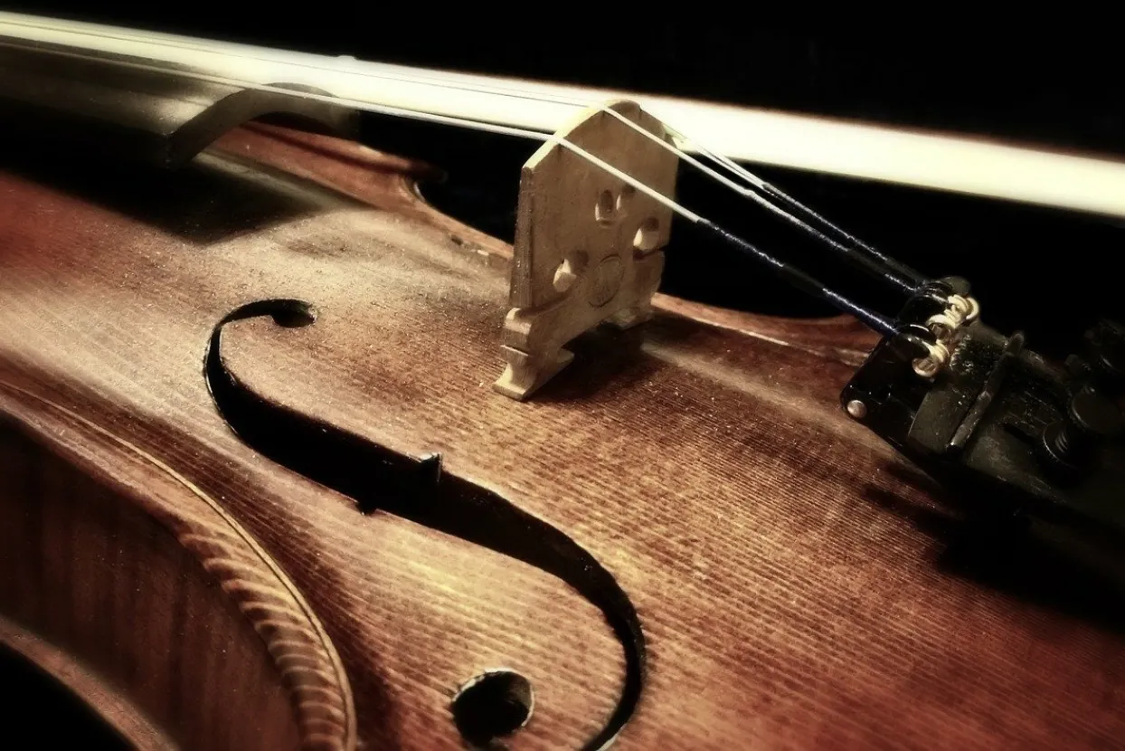 Ubojstvo zbog violina