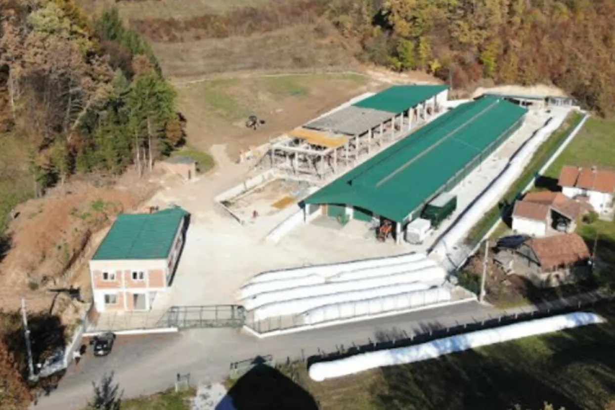 Zahvaljujući Kiseljačaninu, carske ovce iz Rusije, preko Če&scaron;ke do BiH