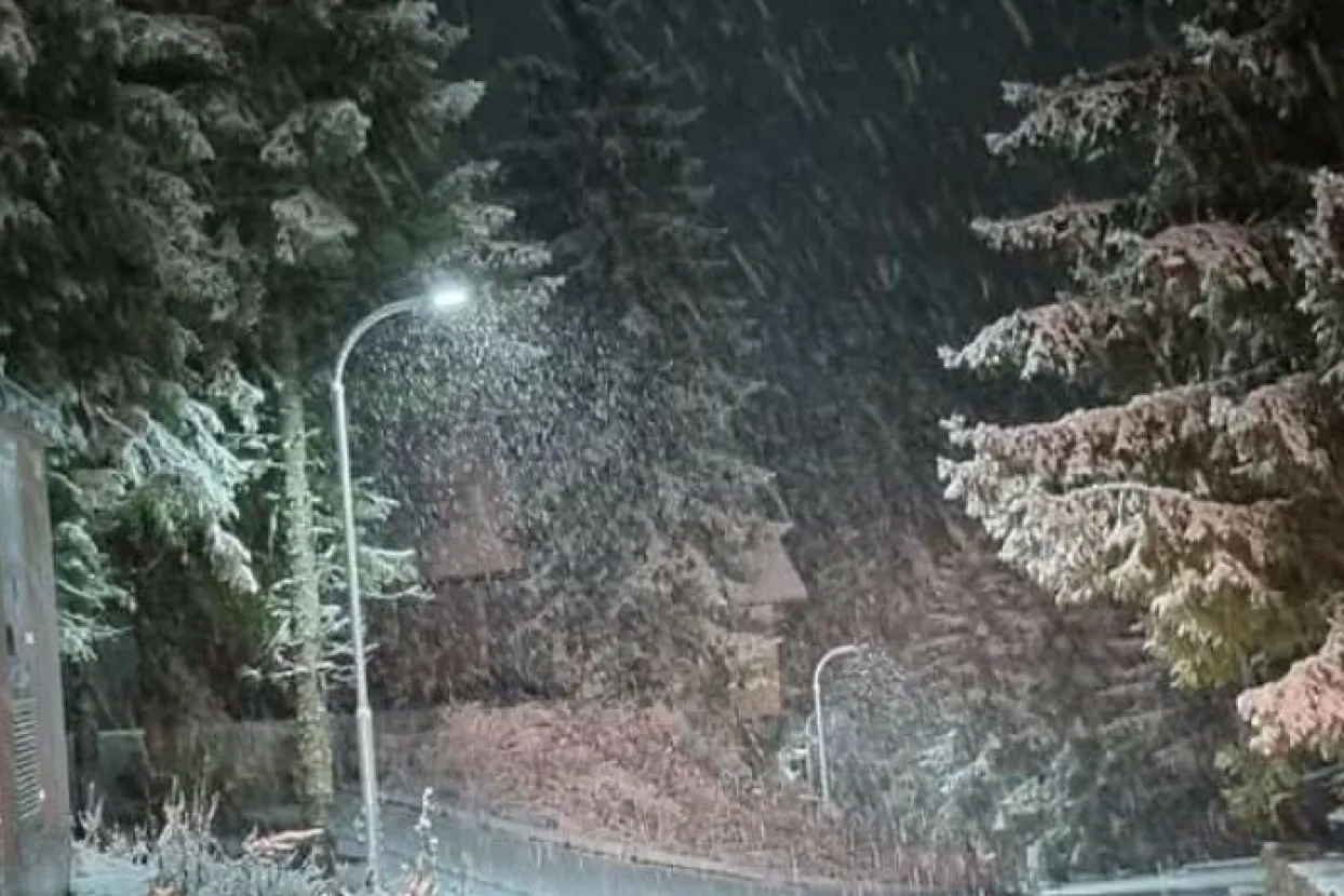 Snijeg na Vla&scaron;iću