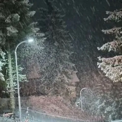 Snijeg na Vla&scaron;iću