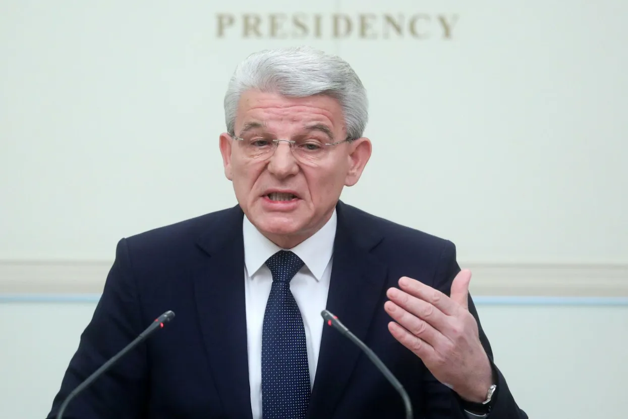 &Scaron;efik Džaferović