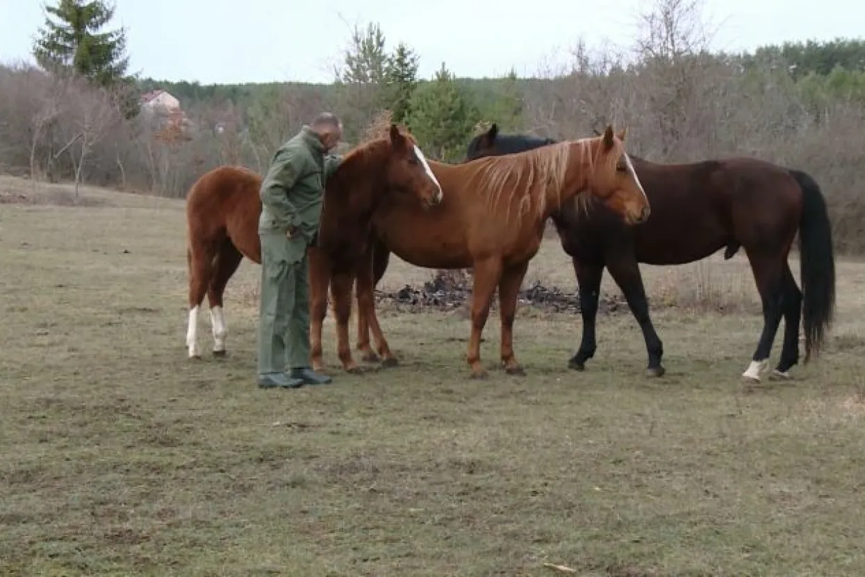 Nakon 25 godina vratio se u Livno i ostvaruje dječački san