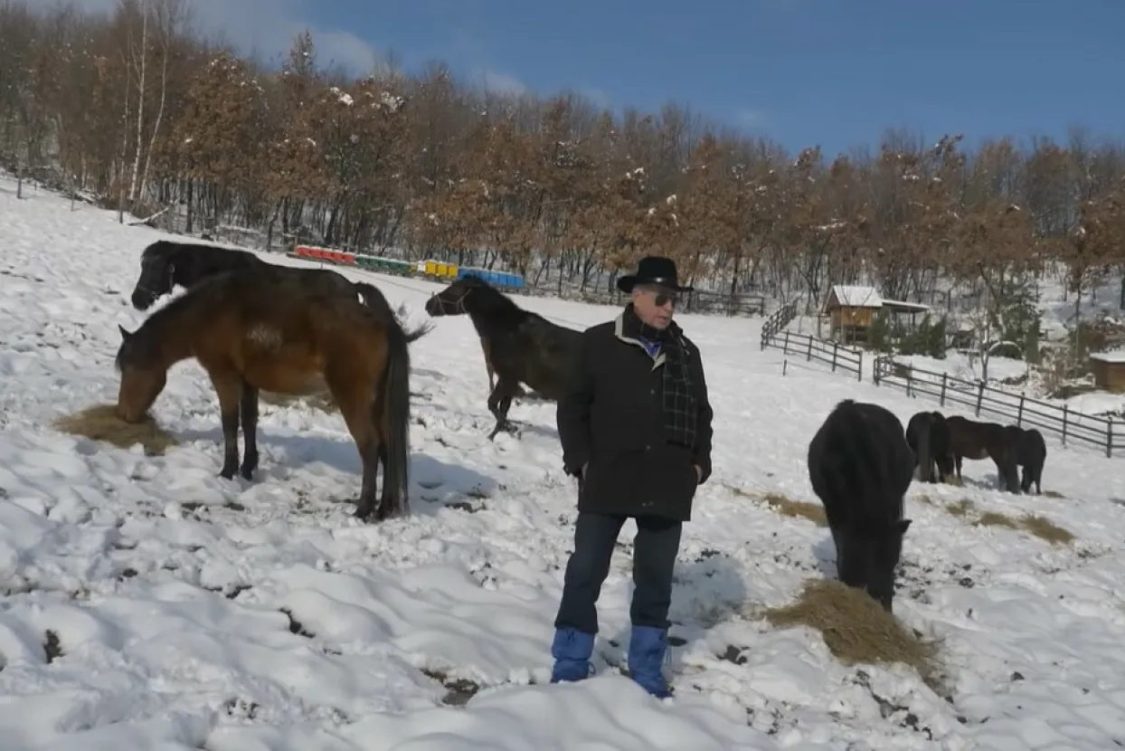 Kako je Žiga spasio Bosanskog konja