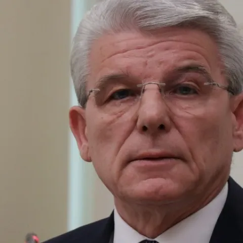 &Scaron;efik Džaferović