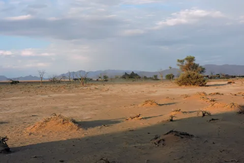 Ilustrativna fotografija