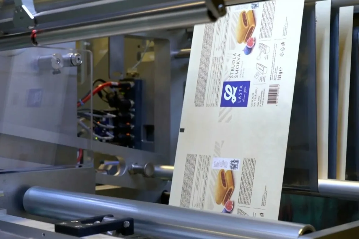 Lastine &scaron;trudlice