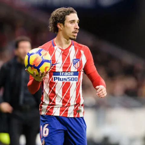 &Scaron;ime Vrsaljko