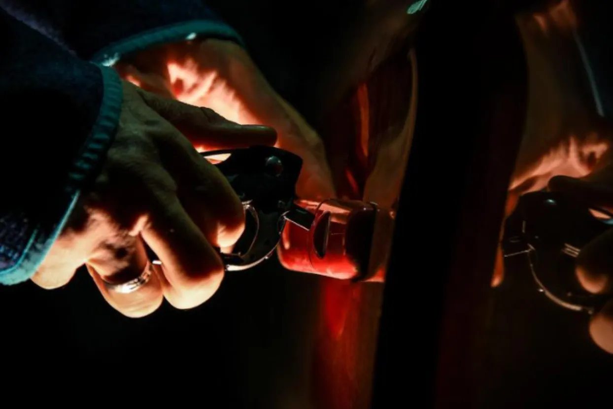 Ilustrativna fotografija