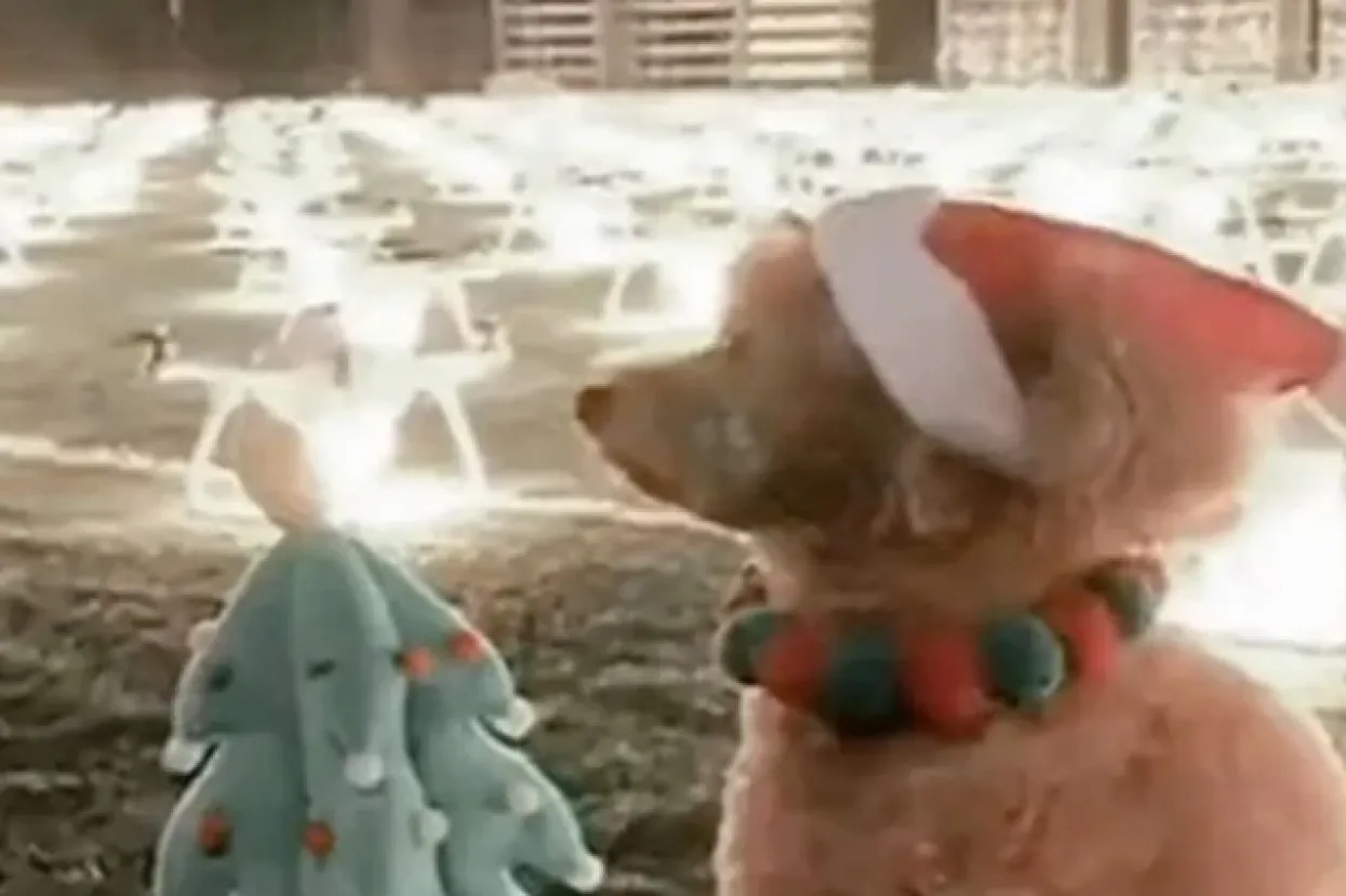 Kineskinja unajmila 520 dronova za proslavu rođendana svog psa