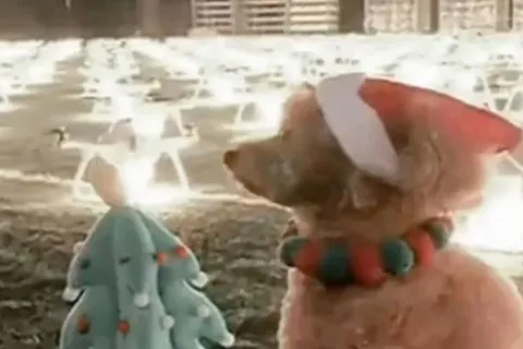 Kineskinja unajmila 520 dronova za proslavu rođendana svog psa