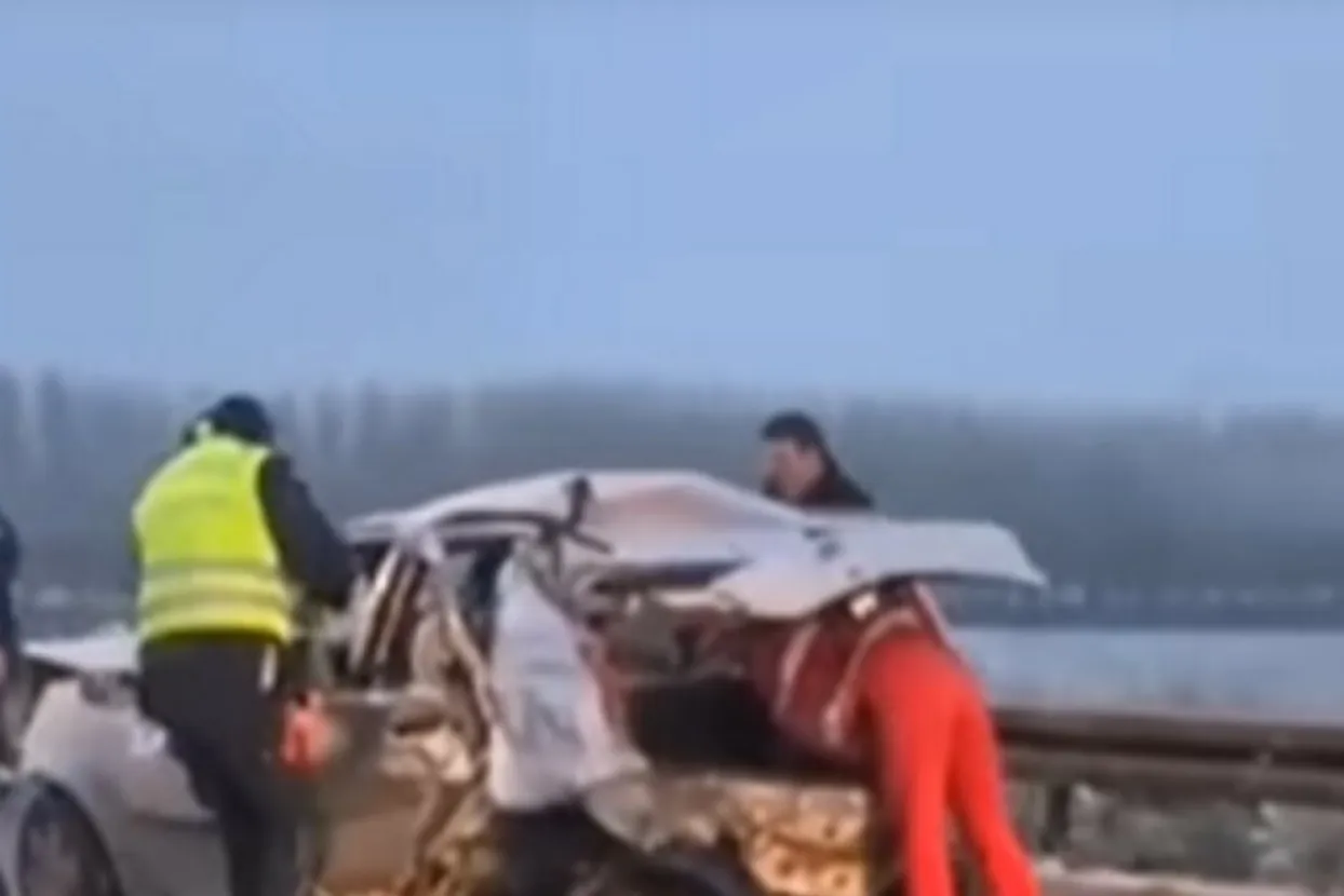 Postala hit na Internetu