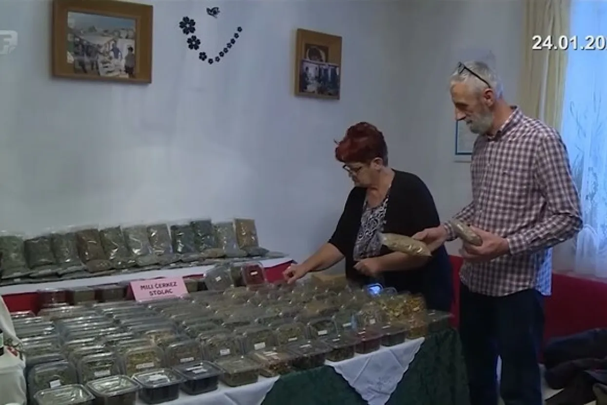 Hercegovački travari