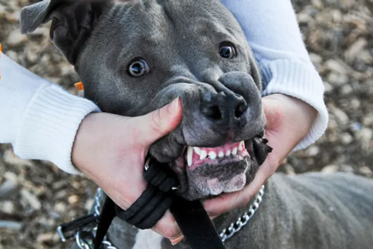 Ilustrativna fotografija