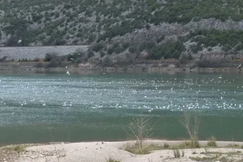 Mostarsko jezero