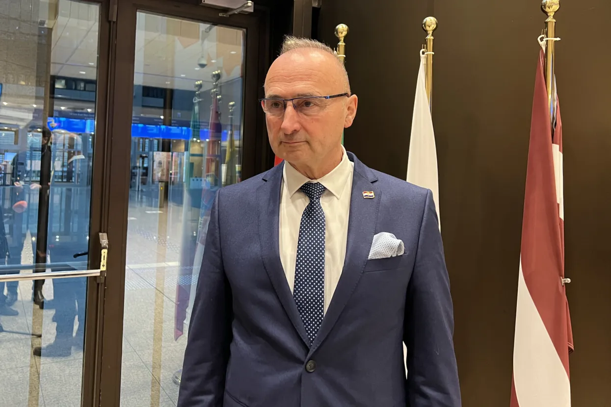 Gordan Grlić Radman