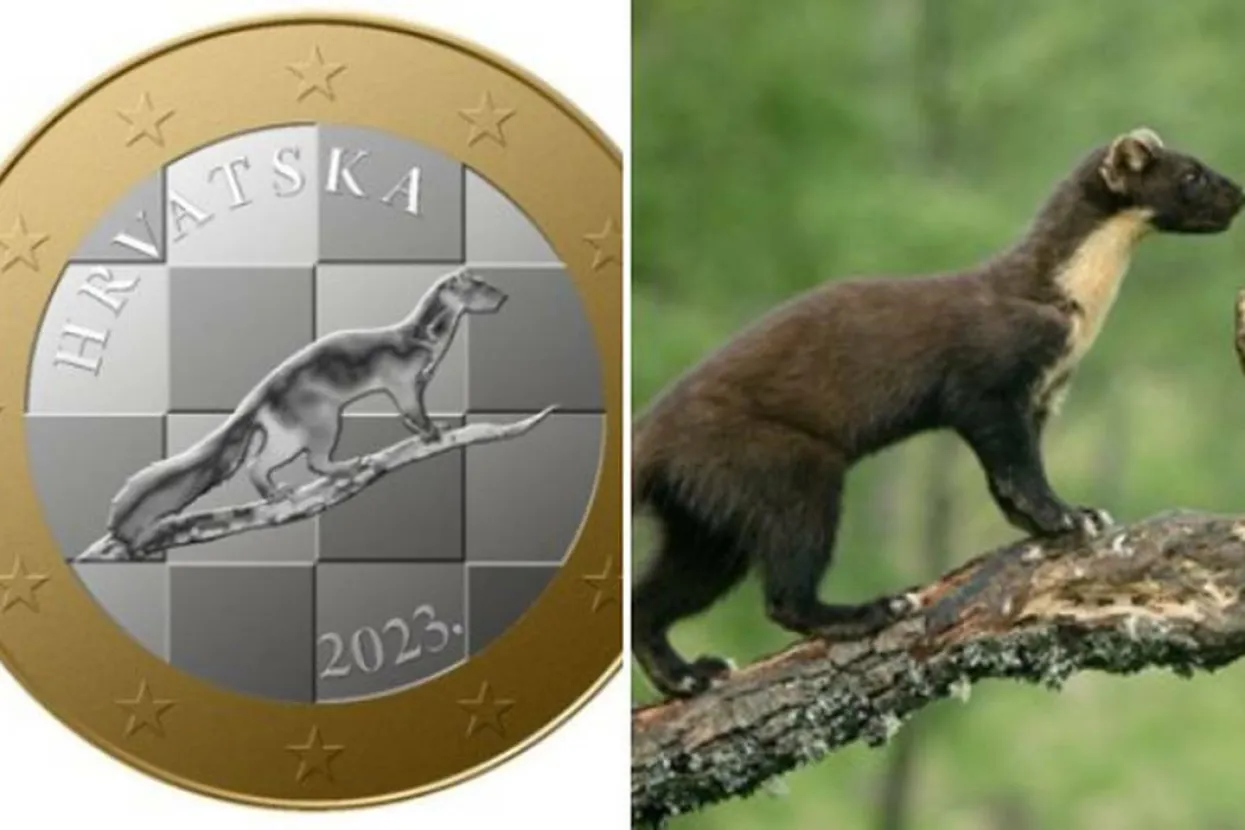 Hrvati pričaju o dizajnu eura i kovanicama