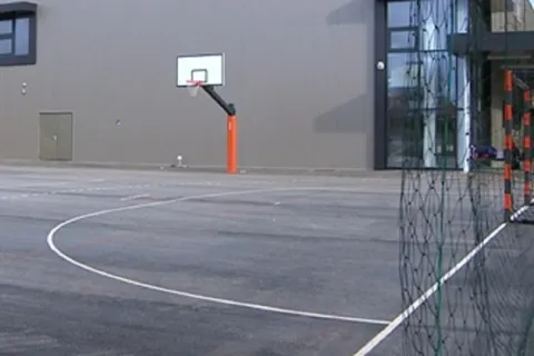 Vr&scaron;njačko nasilje u Medulinu