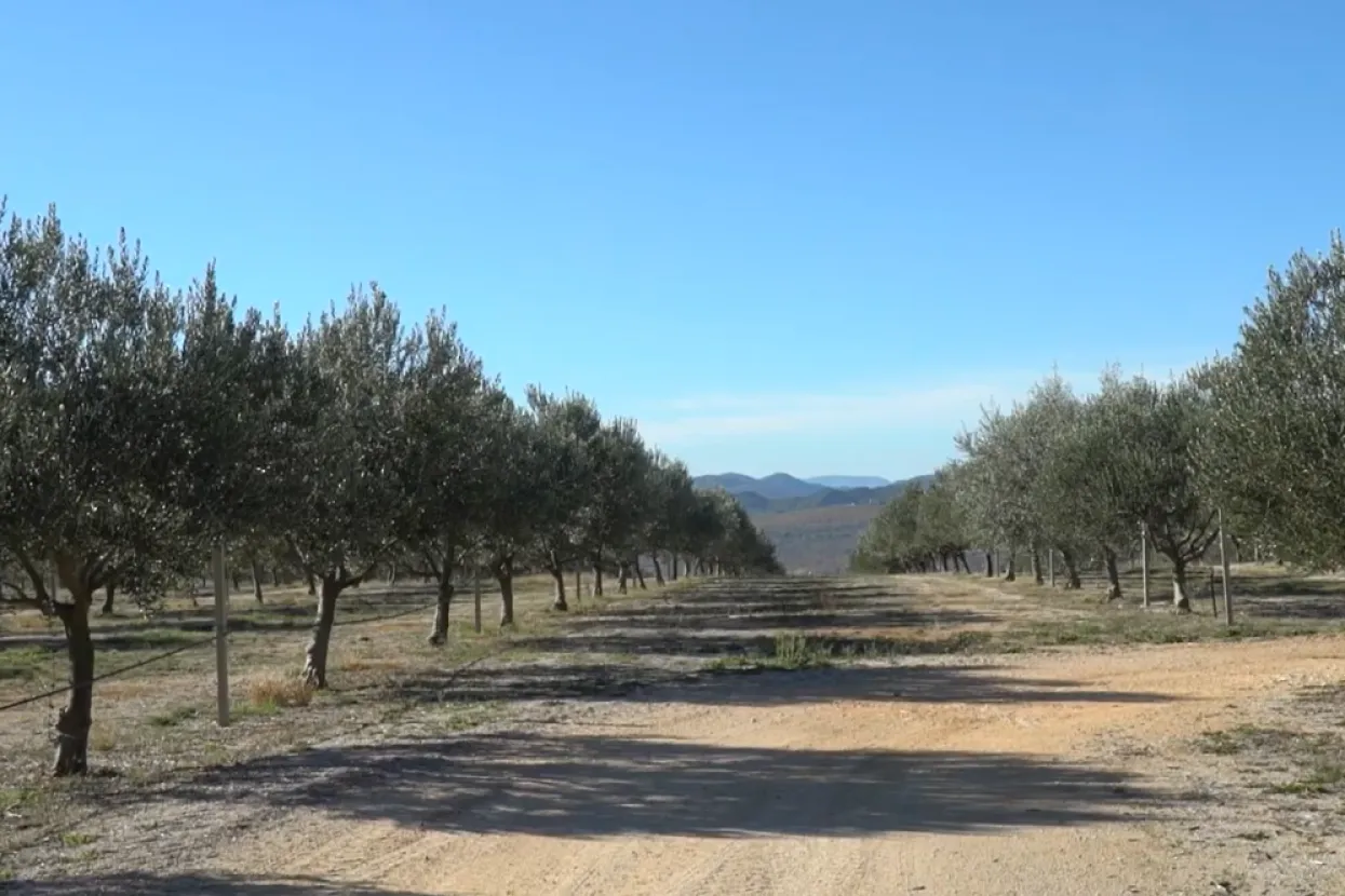 Ilustrativna fotografija