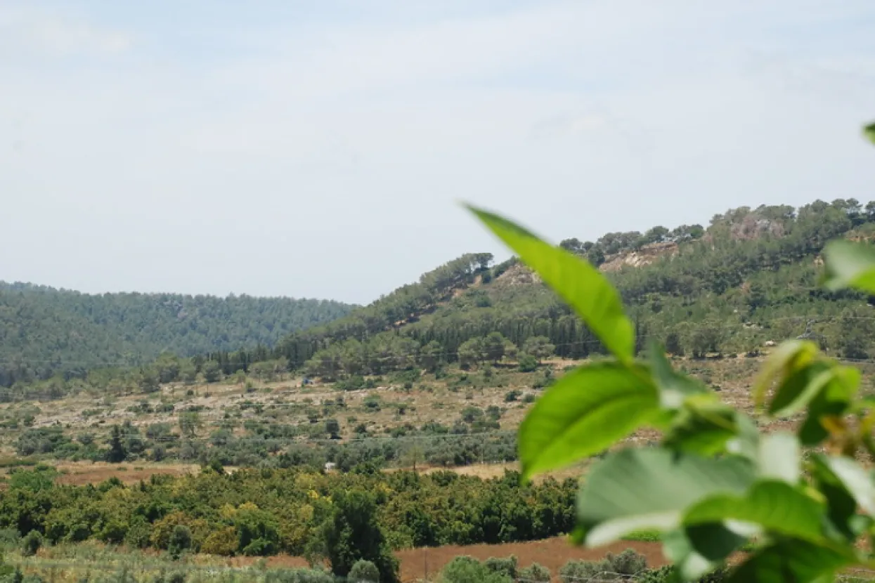 Ilustrativna fotografija