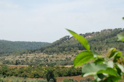 Ilustrativna fotografija