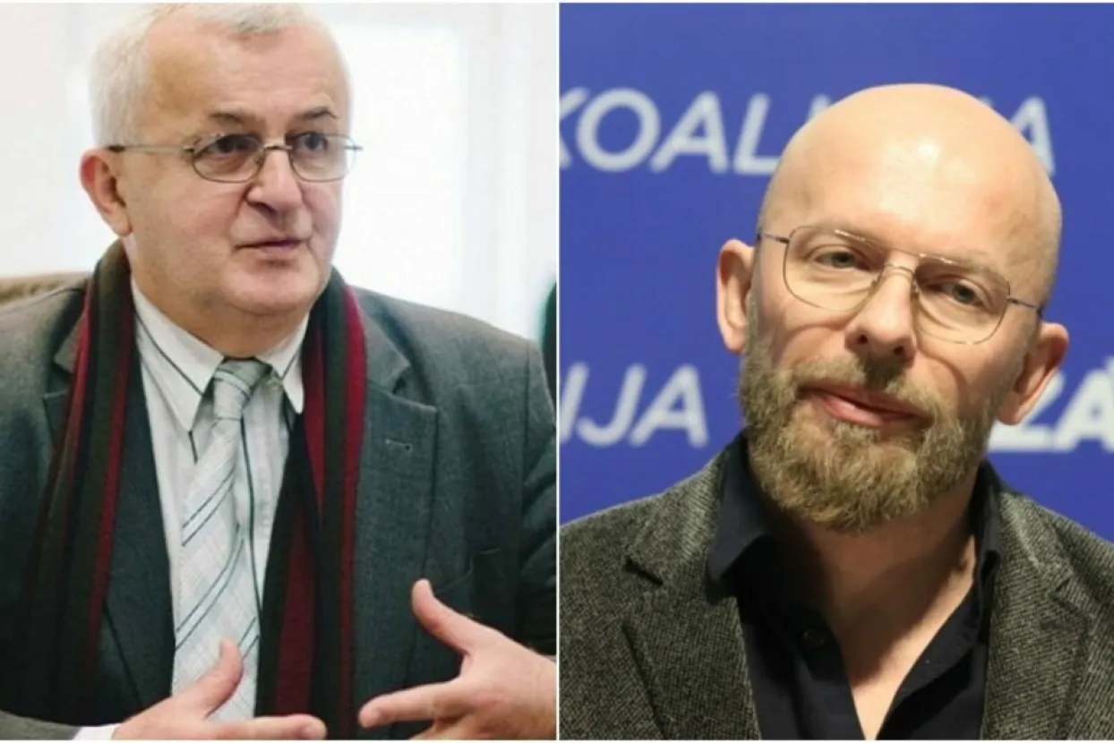 Mile Lasić - Adis Arapović