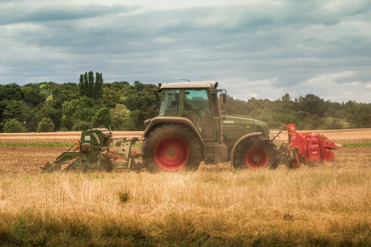Koliko BiH i zemlje regije ovise od uvoza žitarica?