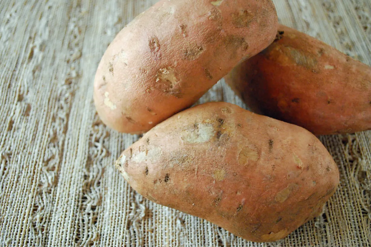 Biljka budućnosti; batat