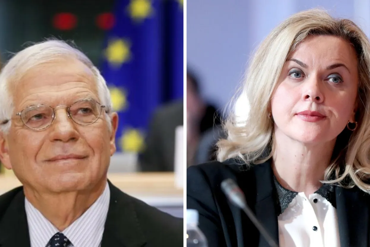 Borrell i Zovko