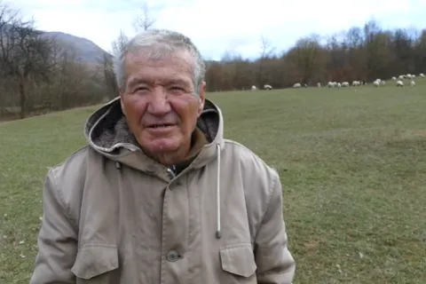 Ovčar Mate Dole