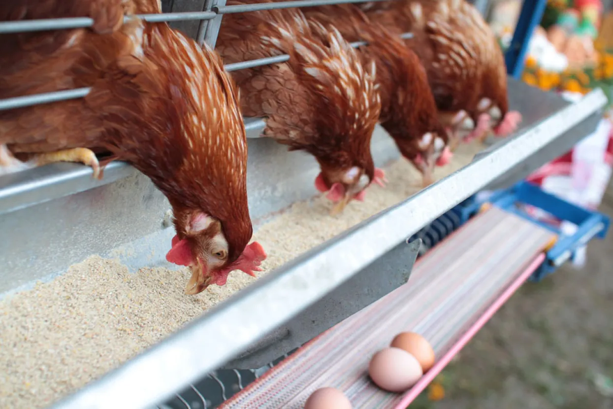 Ilustrativna fotografija