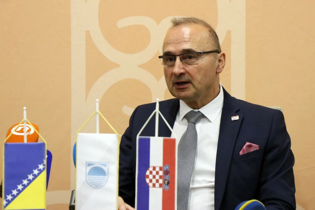 Gordan Grlić Radman