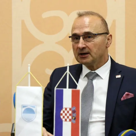 Gordan Grlić Radman