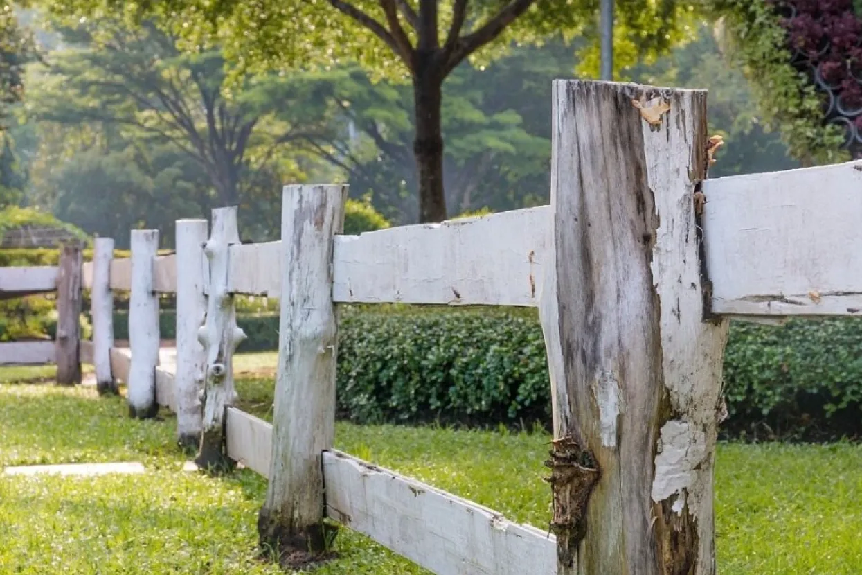 Ilustrativna fotografija