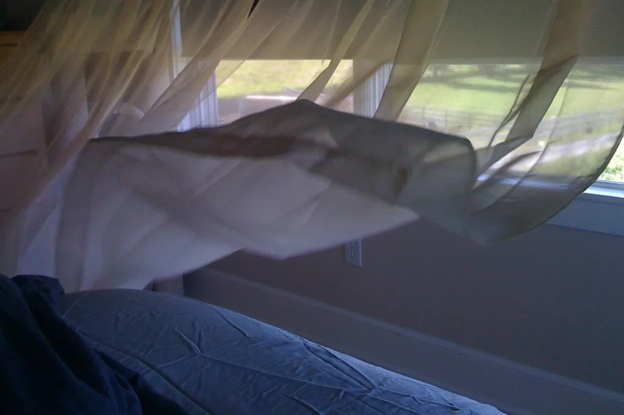 Ilustrativna fotografija