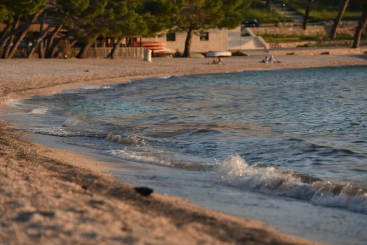 Najezda mu&scaron;ica na makarskoj plaži